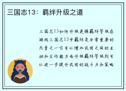 三国志13：羁绊升级之道