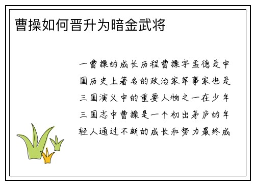 曹操如何晋升为暗金武将